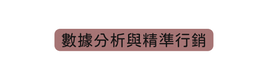 數據分析與精準行銷